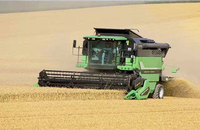 11月7日河北辛集贸易商玉米胚芽粕价格稳定