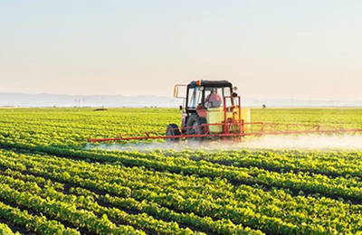 加拿大大豆周度供需关系评估报告（截止11月2日）
