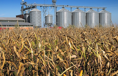 加拿大豌豆周度供需关系评估报告（截止11月2日）