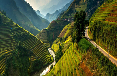 2025年11月7日阿根廷大豆及其产品FOB报价