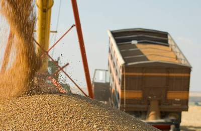 11月4日浙江贸易商棕榈粕价格行情