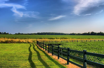 11月7日国内鱼粉市场交易日评：业内担忧配额，持货商普遍挺价
