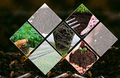 11月7日辽宁大连进口鱼粉价格稳定