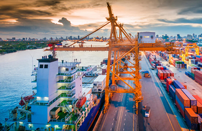 11月7日湖北潜江芝麻价格行情