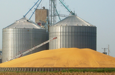 11月7日国内棉籽及其产品交易日评：油回调，粕涨跌互现