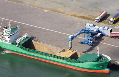 11月7日黑龙江集贤鸿展DDGS价格稳定