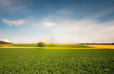 汇总表：11月7日国内玉米蛋白粉价格行情