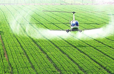 11月7日欧洲市场菜油报价