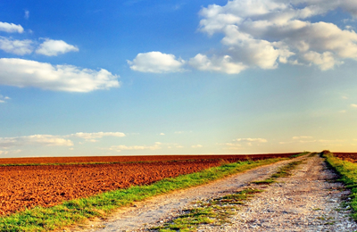 11月5日山东地区味精价格行情