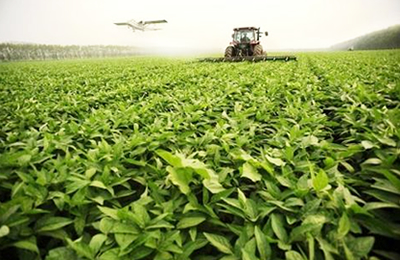 11月7日国内菜籽及其产品交易日评：油粕滞涨回落