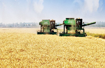 11月3日山东潍坊英轩柠檬酸价格行情