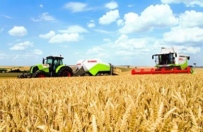 11月7日江苏地区麸皮价格行情