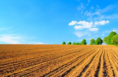 11月7日进口玉米盘面利润及现货内外价差统计表