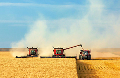 加拿大大麦周度供需关系评估报告（截止11月2日）