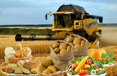 11月7日湖南岳阳大麦价格下跌