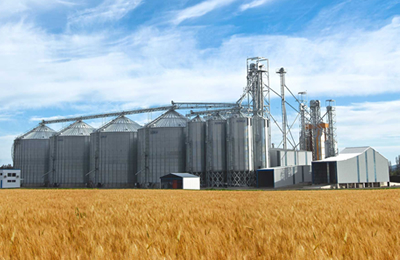 11月7日国内米糠及副产品交易日评：基本维持稳定