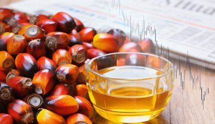 分析：利空呈现，油脂行情纷纷破位下行